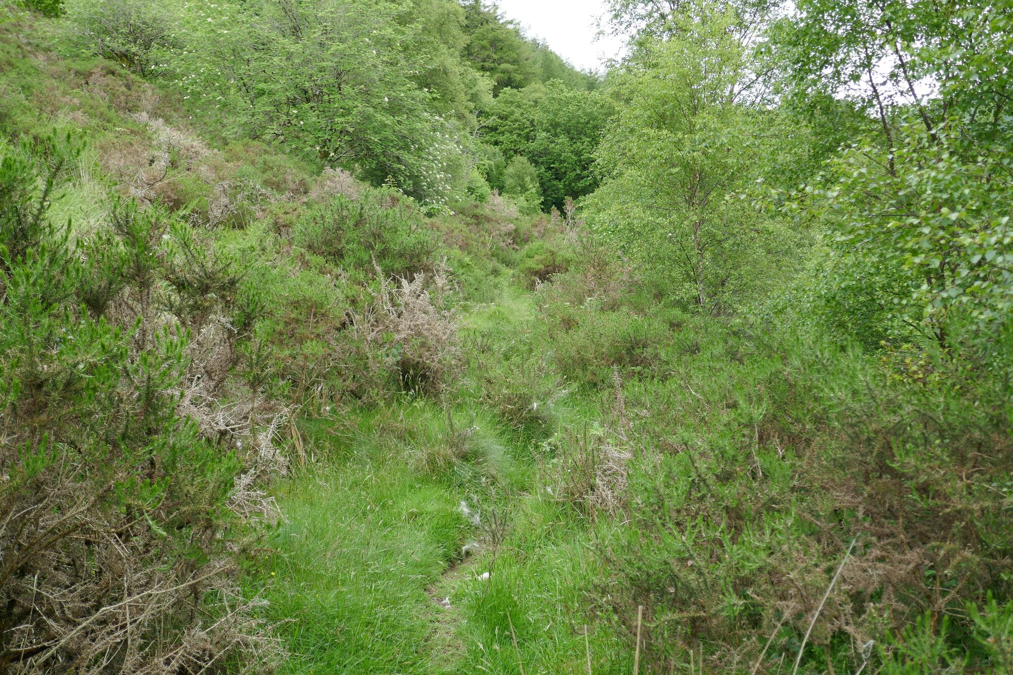 RachelSeabrook.net | Wild Walking | Devils-Bridge; pic26
